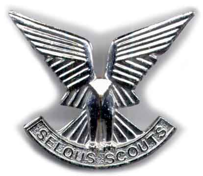 20mm Brown 1950s Pattern Leather Military Watch Strap with Protective Face Cover - SAVE 70% SURPLUS STOCK REDUCED TO CLEAR